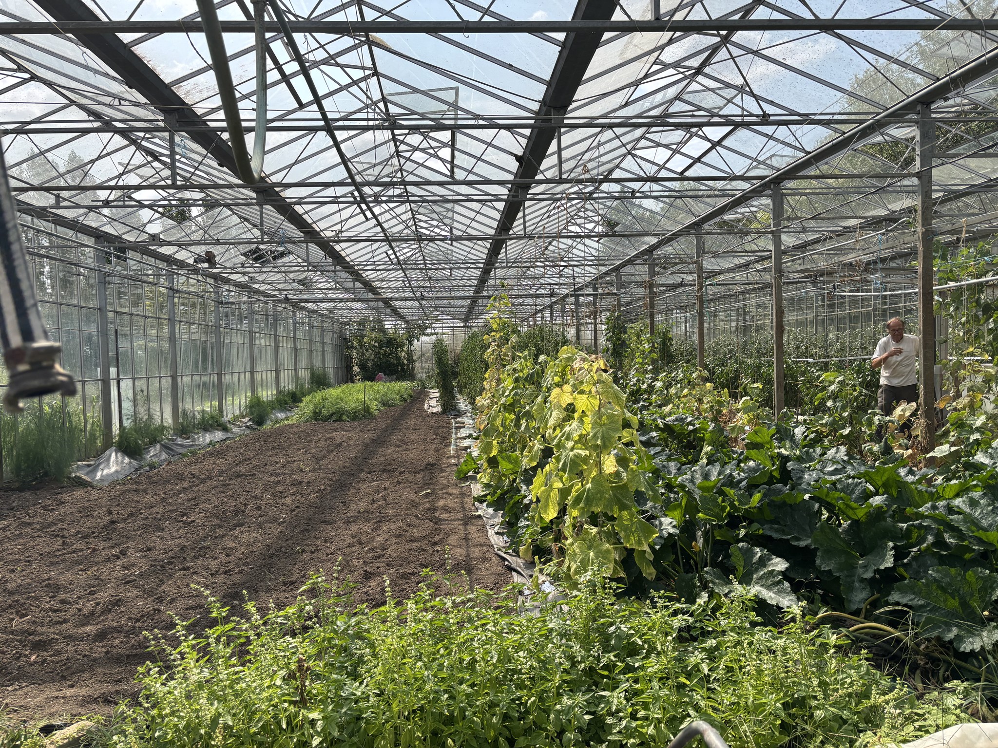 Jardins maraîchers